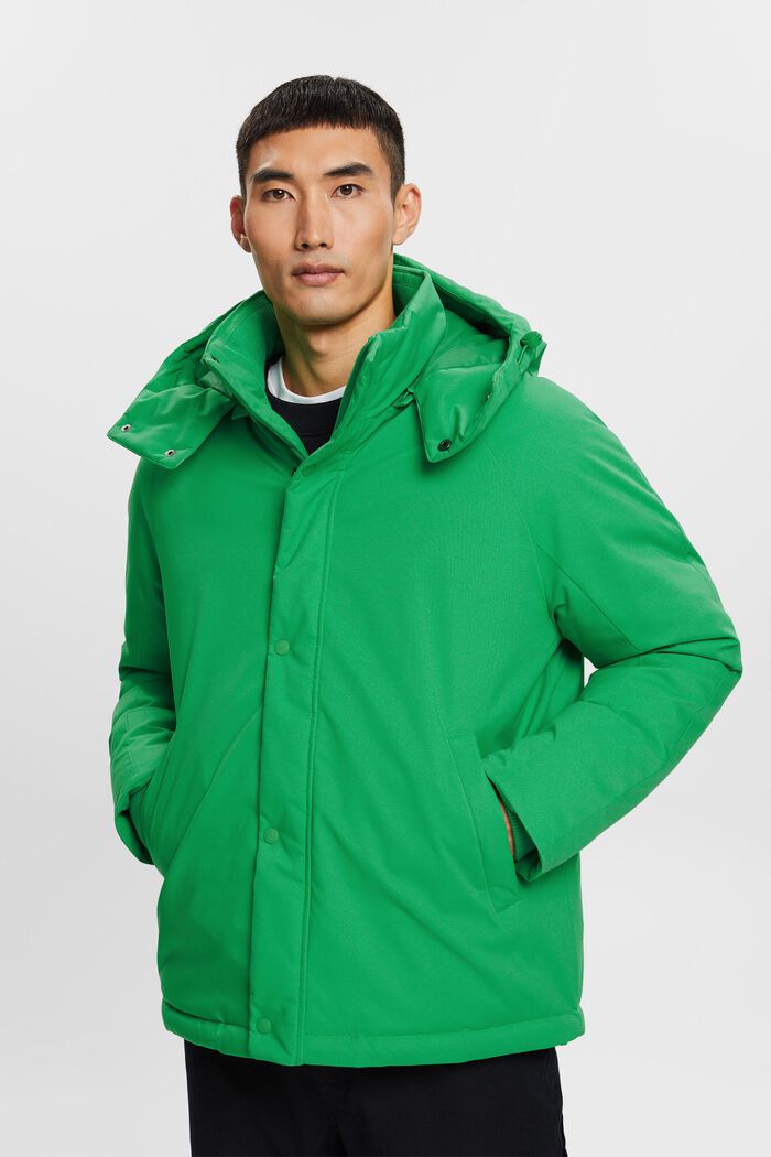 Péřový kabát s kapucí, GREEN, detail image number 0