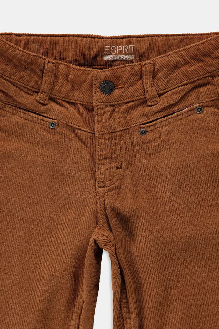 Manšestrové kalhoty z bavlny, DARK BROWN, detail image number 2