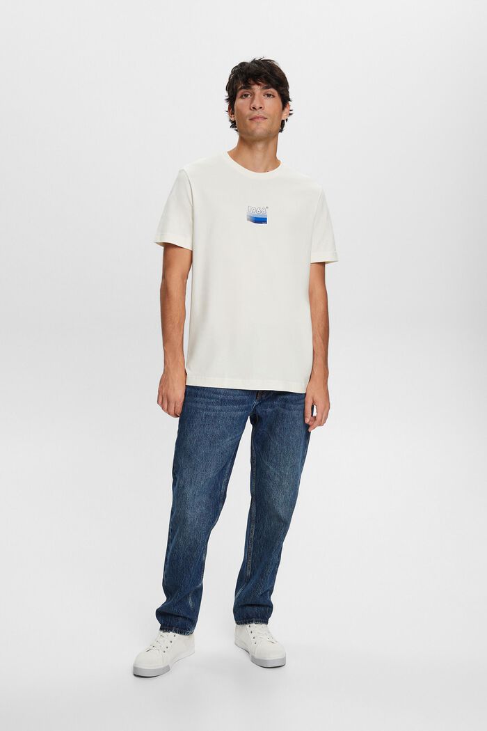 Žerzejové tričko s potiskem, 100 % bavlna, ICE, detail image number 4