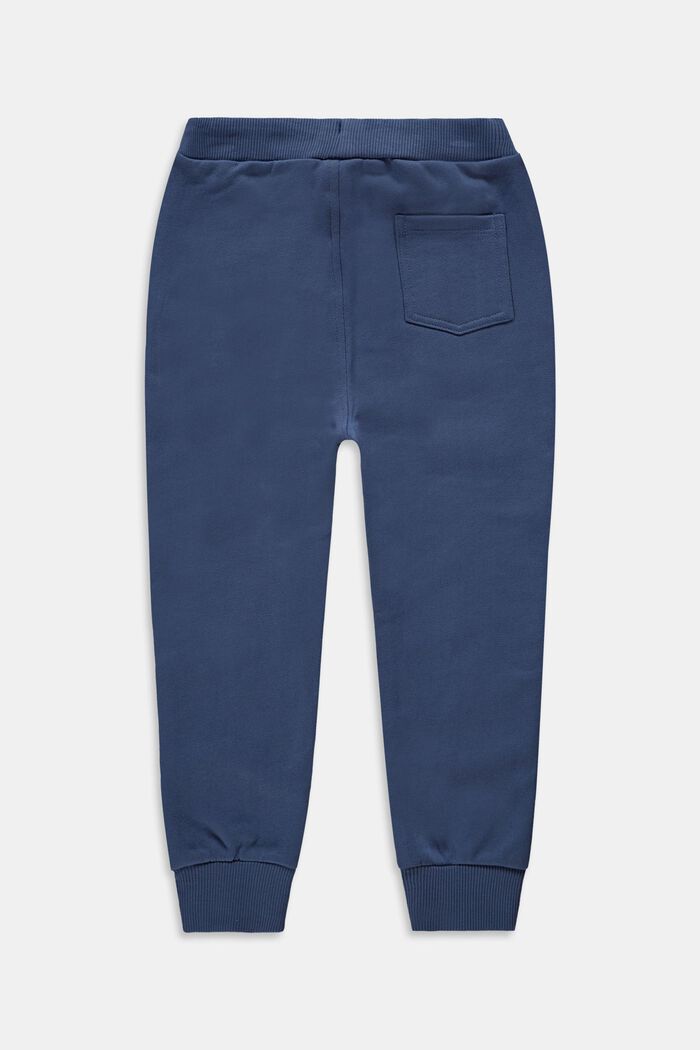 Joggingové kalhoty ze 100% bavlny, GREY BLUE, detail image number 1