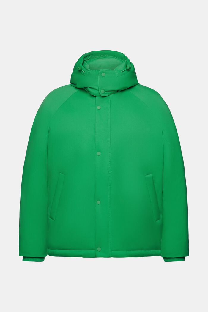 Péřový kabát s kapucí, GREEN, detail image number 5