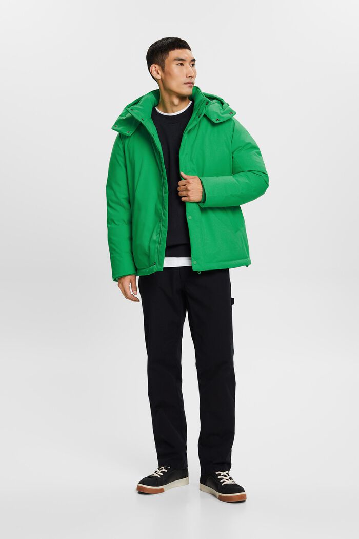 Péřový kabát s kapucí, GREEN, detail image number 1