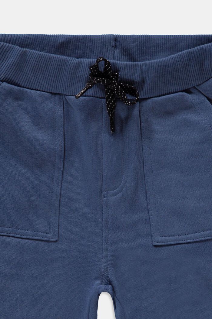Joggingové kalhoty ze 100% bavlny, GREY BLUE, detail image number 2