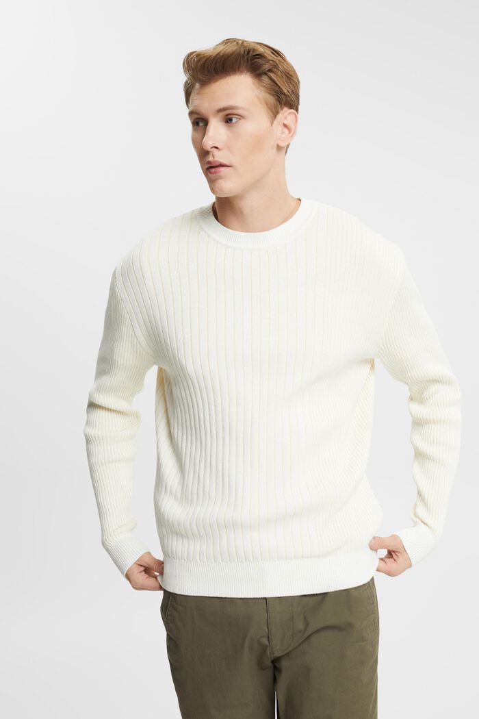 Pletený žebrovaný pulovr, ICE 2, detail image number 0