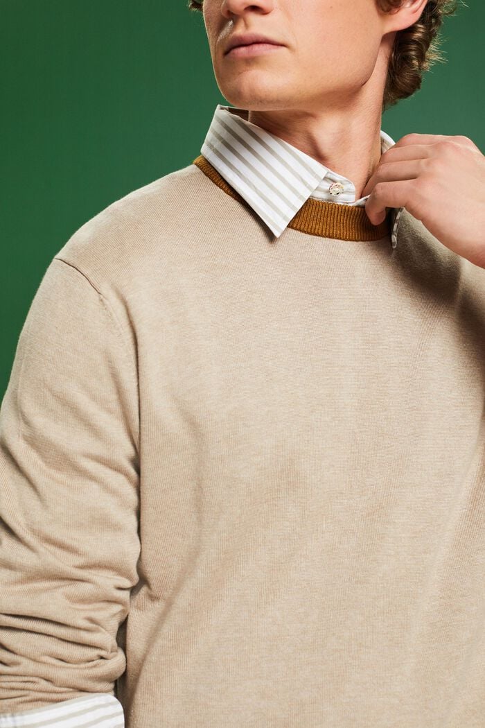 Žebrový pulovr s kulatým výstřihem, LIGHT TAUPE, detail image number 3