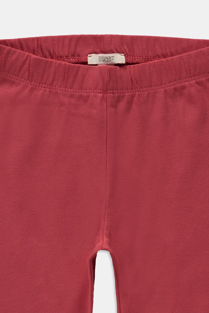 Legíny v capri délce, bavlněný streč, GARNET RED, detail image number 2