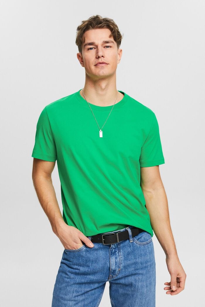 Žerzejové tričko s kulatým výstřihem, NEW GREEN, detail image number 0
