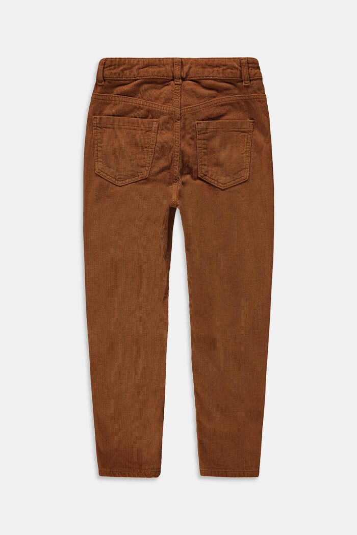 Manšestrové kalhoty z bavlny, DARK BROWN, detail image number 1