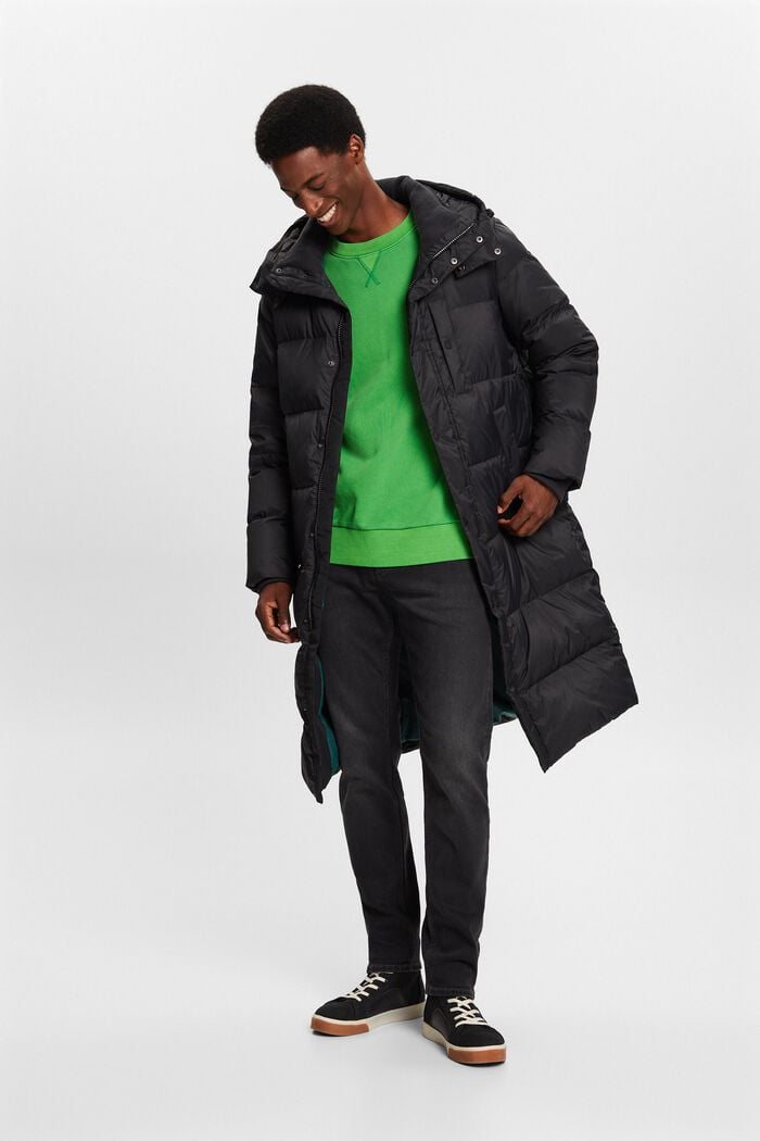 Péřový kabát s kapucí, BLACK, detail image number 2